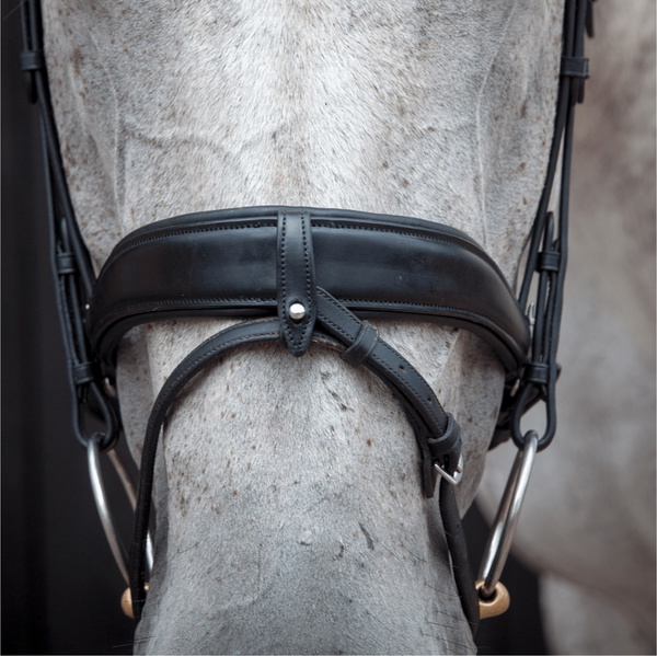 Bride De Dressage HJ-BR-03 - Black